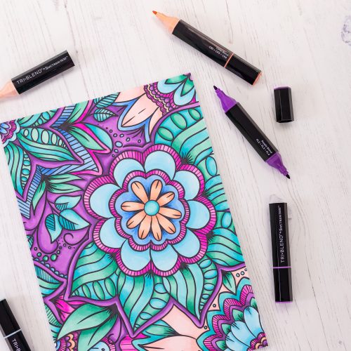 Dive into a world of blended beauty with the Spectrum Noir Colourist's Collection