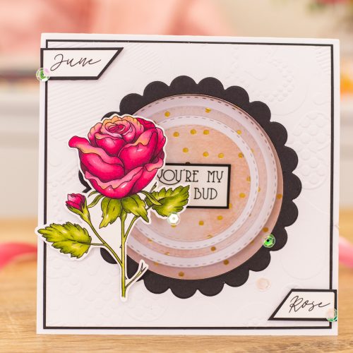Find your birth month flower and create perfectly personalised cards!