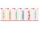 Christmas Border Dies 6pc Collection
