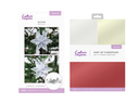 Christmas 3D Star Die with Pearl Card Pack