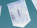 Ice Fairy Ephemera