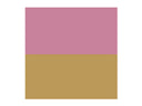 Gold Ballet, Frames & Bows Foil Transfers