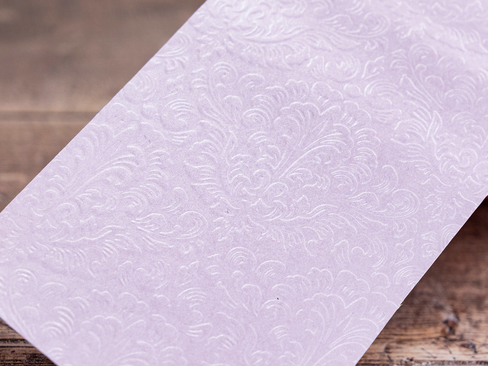 Sara Signature Thorn & Bloom 6" x 4" 2D Embossing Folder - Damask Wallpaper