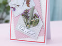 Script Sentiment Stamp Set