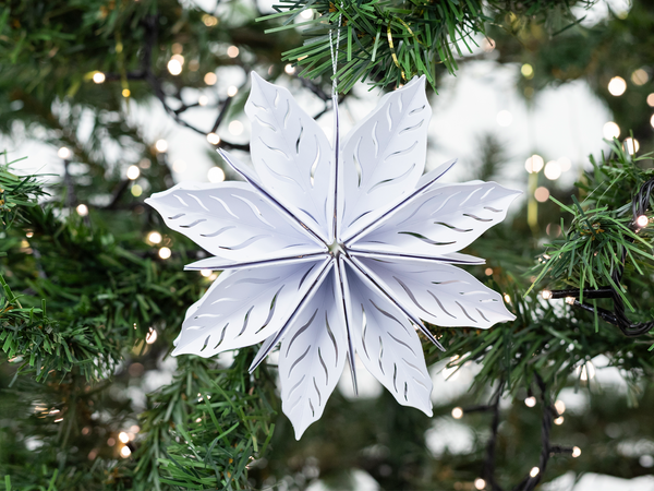 Crafter’s Companion Metal Die - 3D Poinsettia 