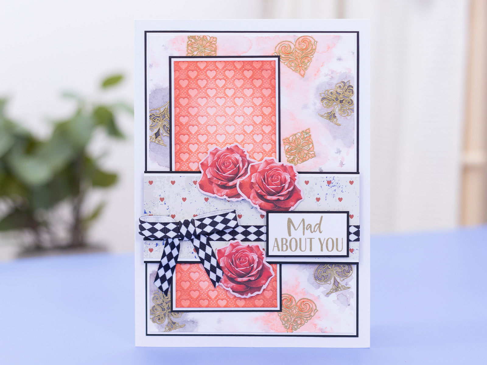 Tales of Wonderland - Black & White Harlequin Ribbon