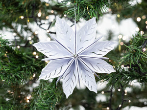 Crafter’s Companion Metal Die - 3D Poinsettia 