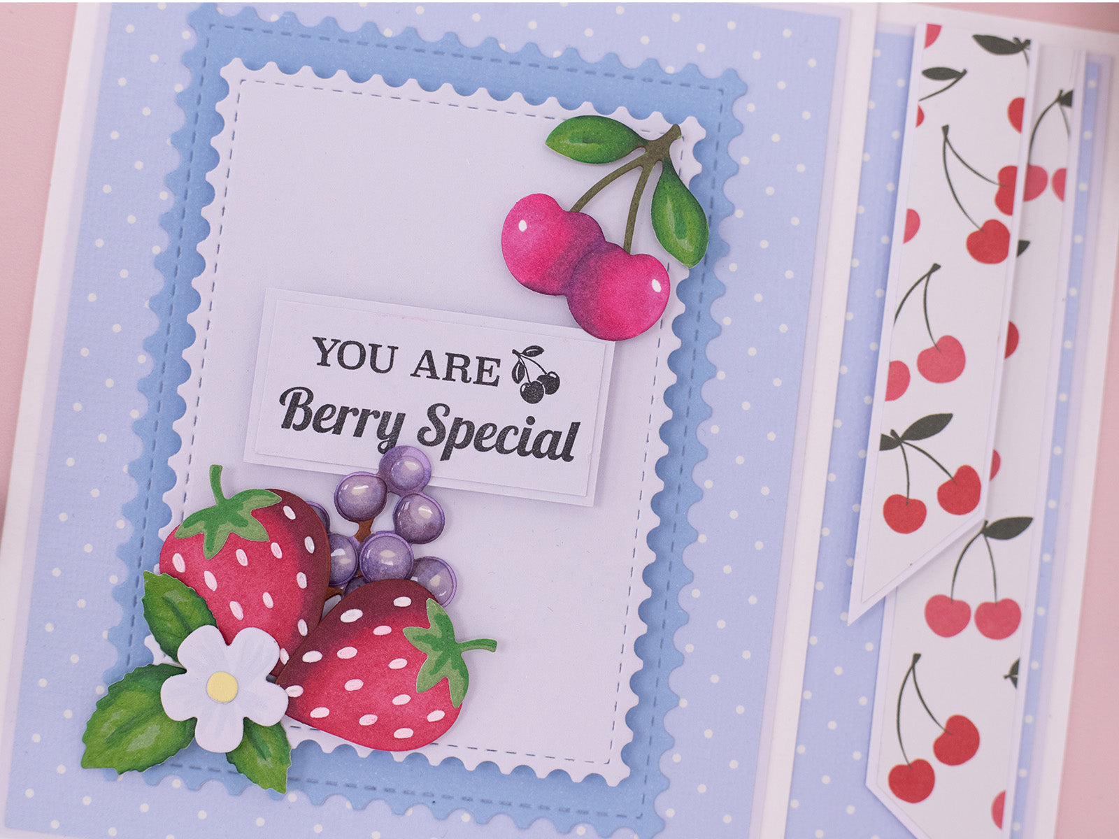 Berry Bliss - Cherries 3D Embossing Folder 5" x 7"