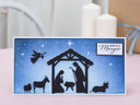 Christmas and Nativity Sentiment Stamp Set