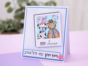 Party Animal Stamp & Metal Die Set