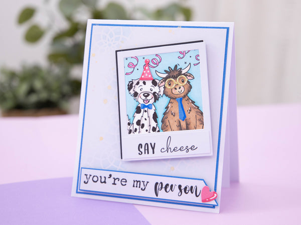 Party Animal Stamp & Metal Die Set