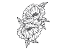 Gemini - LetterPress Press Plate - Poppy