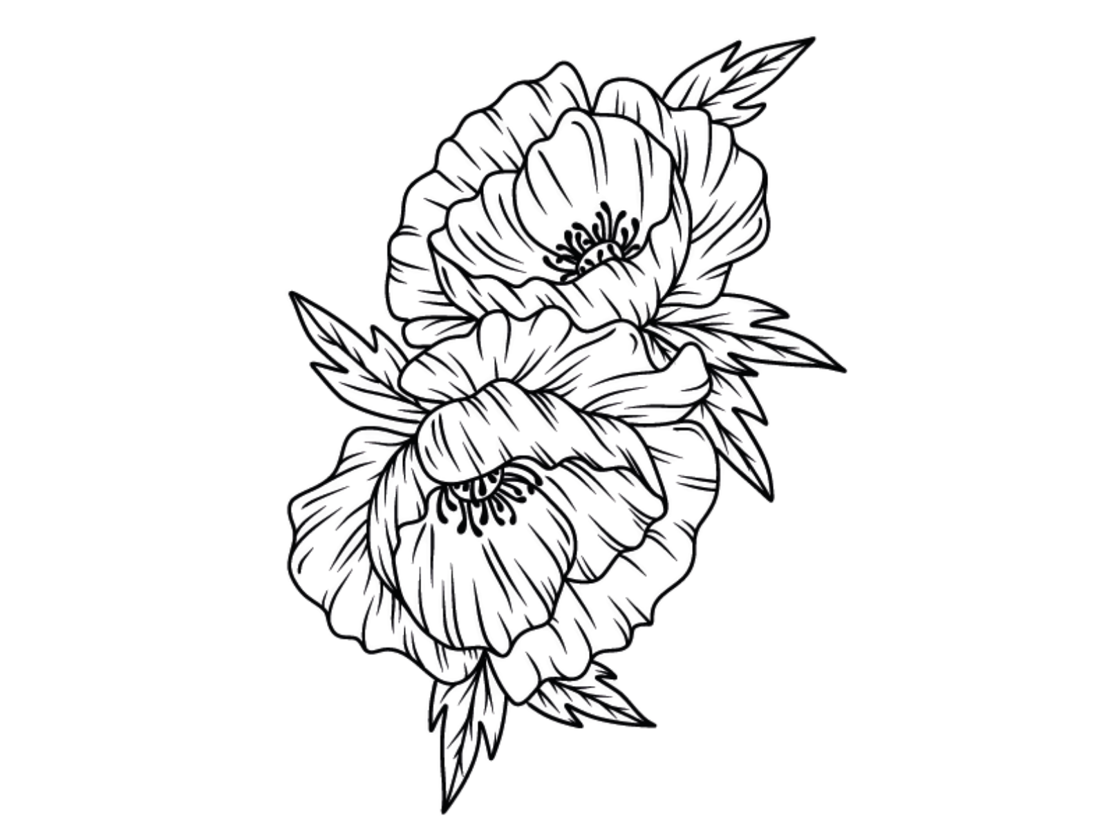 Gemini - LetterPress Press Plate - Poppy