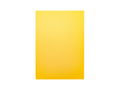 Crafter's Companion A4 Pearlescent Card Single Sheet 285gsm Gold
