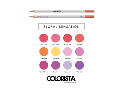Colorista - Coloured Pencil - Floral Sensation 12pc