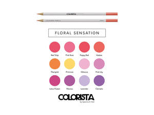 Colorista - Coloured Pencil - Floral Sensation 12pc
