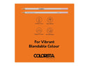 Colorista - Coloured Pencil - Perfect Portrait 12pc