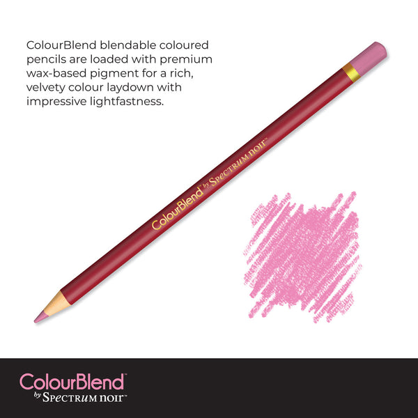 ColourBlend by Spectrum Noir 24 Pencil Set - Naturals