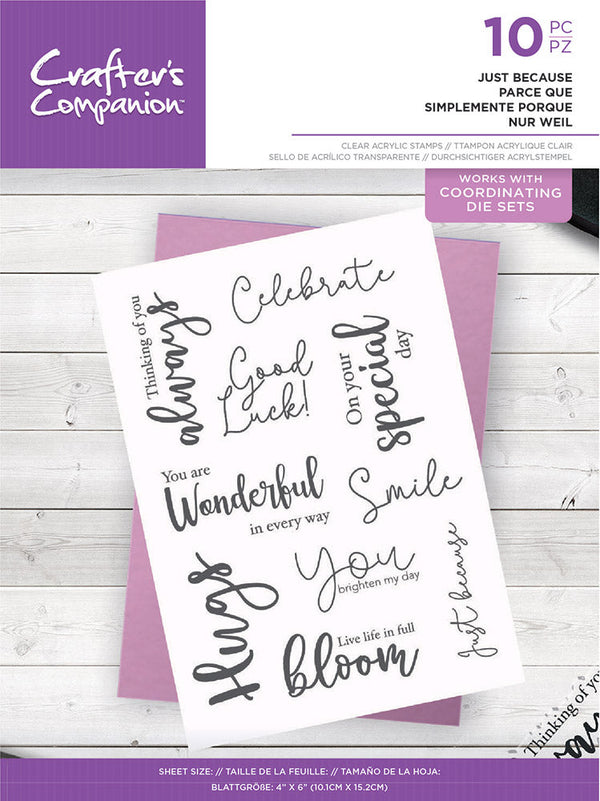 Crafter's Companion - Photopolymer Stamp - Birthday Wishes