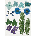Creativ Pressed Flowers and Leaves - Blue