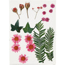 Creativ Pressed Flowers and Leaves - Light red