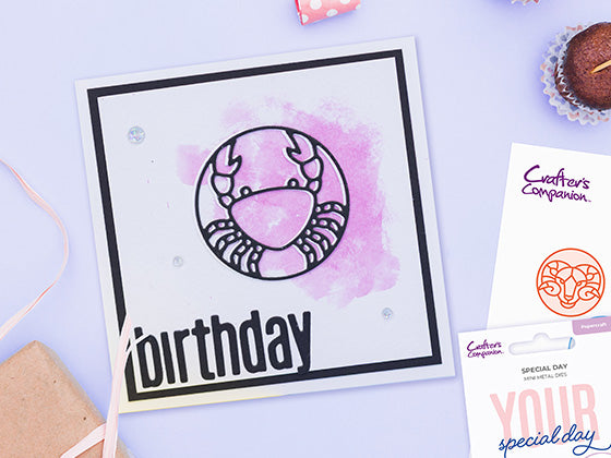 Explore our Latest Launches