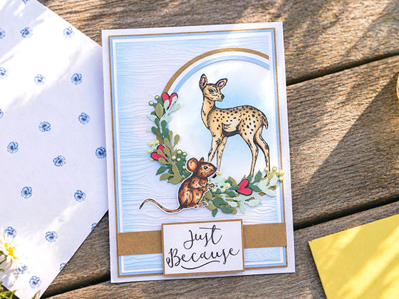 Explore our Latest Launches