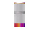 Colorista - Coloured Pencil - Floral Sensation 12pc