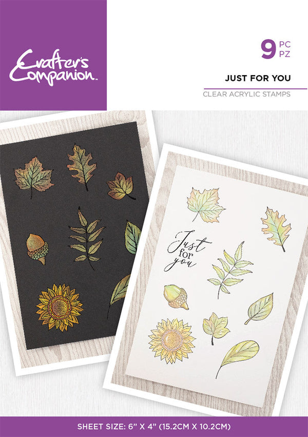 Crafter's Companion Inking and Stamping Clear Acrylic Stamp: Just for You (CASTJUFU)