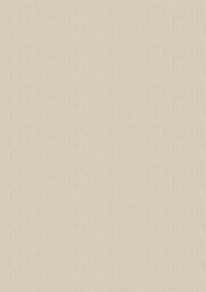 Vintage Carnival Luxury Linen Cardstock - A4  