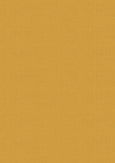 Vintage Carnival Luxury Linen Cardstock - A4  