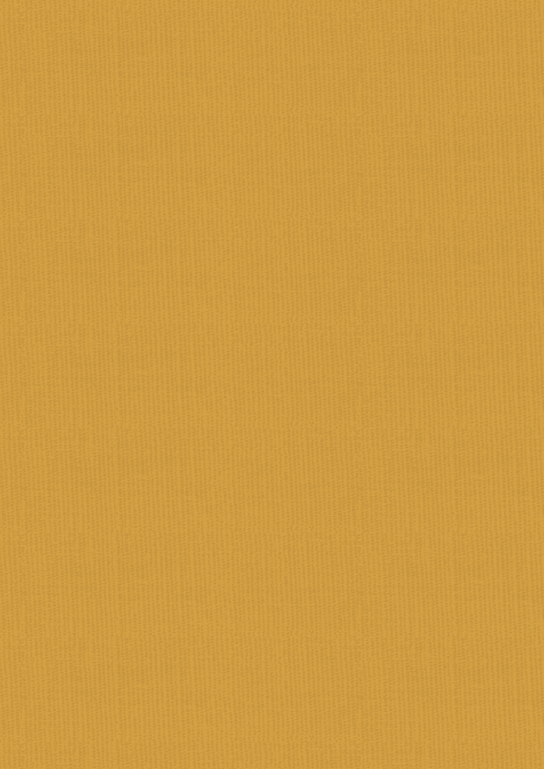 Vintage Carnival Luxury Linen Cardstock - A4  