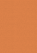 Vintage Carnival Luxury Linen Cardstock - A4  