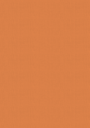 Vintage Carnival Luxury Linen Cardstock - A4  