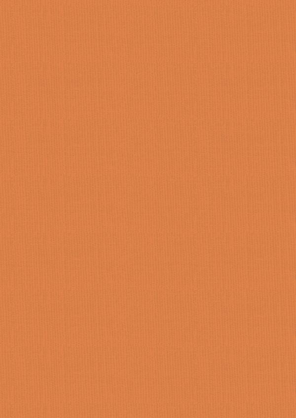 Vintage Carnival Luxury Linen Cardstock - A4  