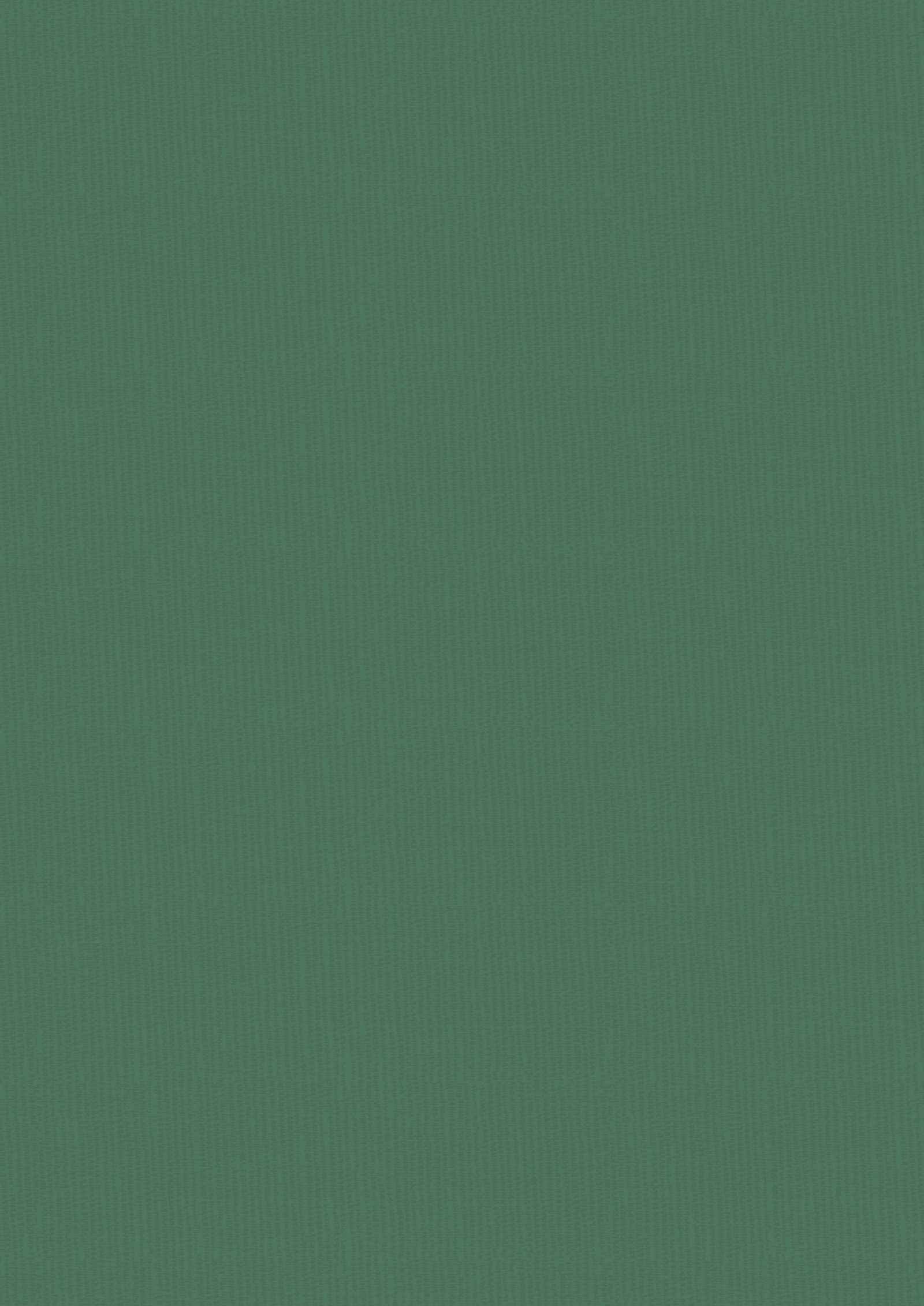 Vintage Carnival Luxury Linen Cardstock - A4  