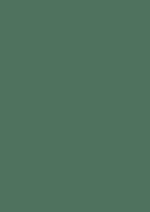 Vintage Carnival Luxury Linen Cardstock - A4  