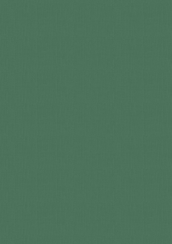 Vintage Carnival Luxury Linen Cardstock - A4  