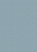 Vintage Carnival Luxury Linen Cardstock - A4  