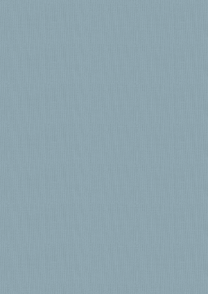 Vintage Carnival Luxury Linen Cardstock - A4  