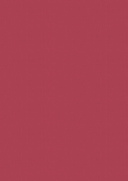 Vintage Carnival Luxury Linen Cardstock - A4  