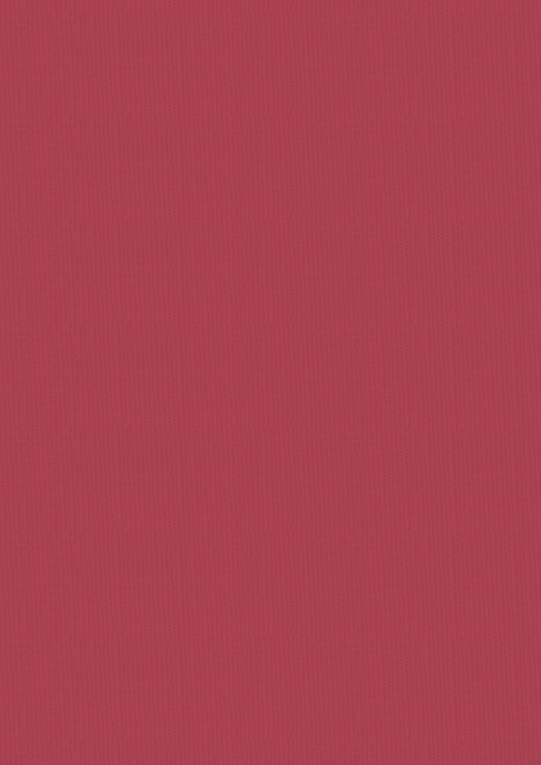 Vintage Carnival Luxury Linen Cardstock - A4  