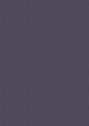 Vintage Carnival Luxury Linen Cardstock - A4  