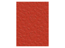 Berry Bliss - Cherries 3D Embossing Folder 5