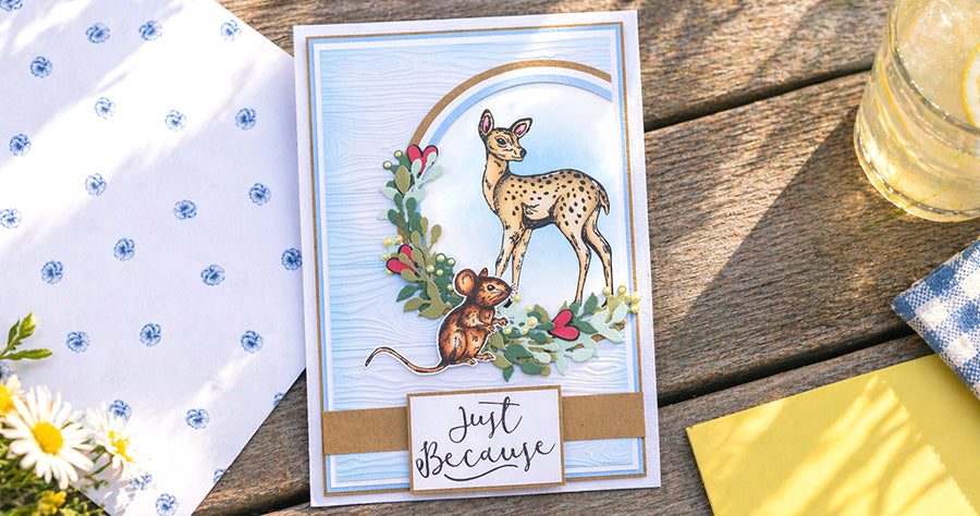 Explore our Latest Launches