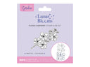 Natures Garden Lunar Blooms Stamp & Die - Floral Harmony