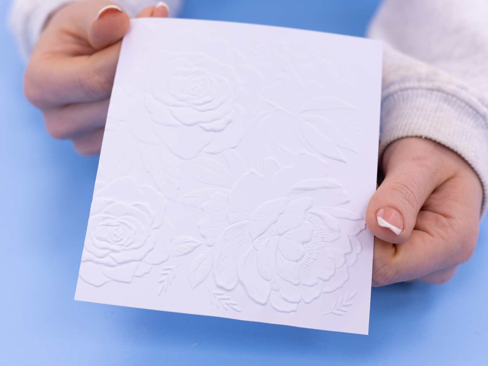 Nature's Garden - Midnight Floral 5.5"x5.5" 3D Embossing Folder & Metal Die - Rose Blooms