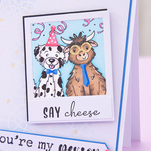 Party Animal Stamp & Die Set