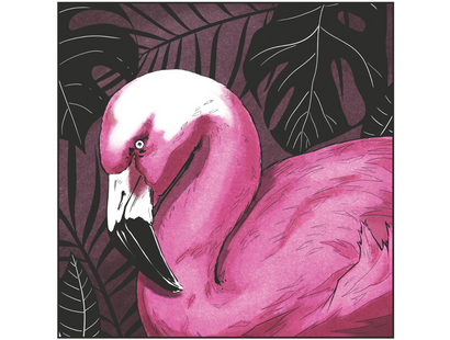 Spectrum Noir-Classique 6pc-Exotic Pinks