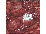 Spectrum Noir-Classique 6pc-Fiery Reds